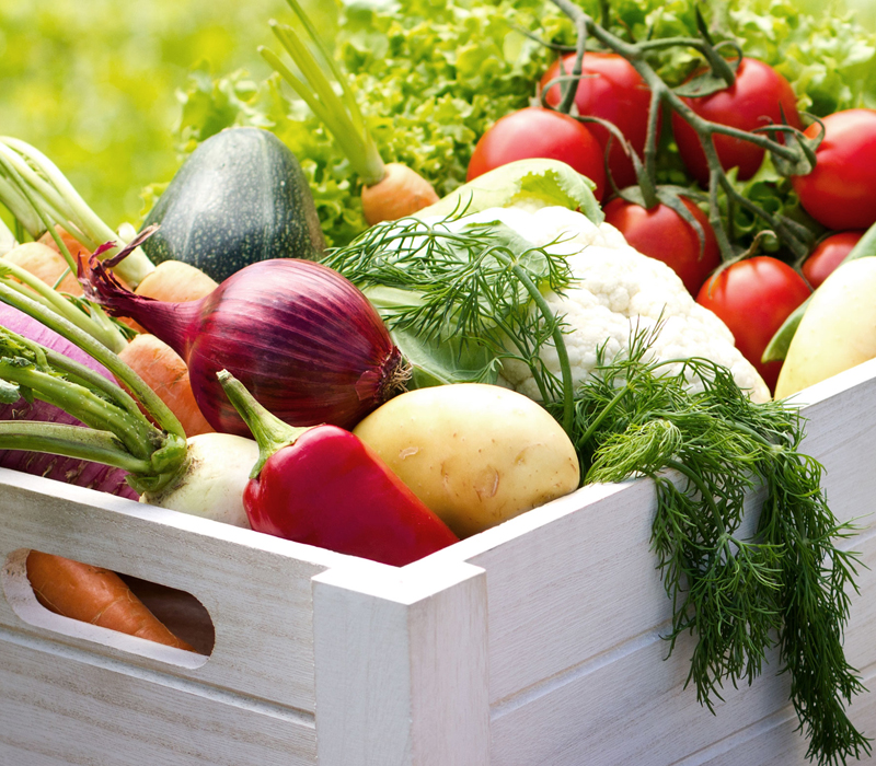 Trentonspaces has Farmers & Flea Markets, Parks and Neighborhoods in Trenton NJ