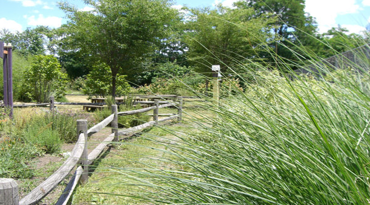 Roberto Clemente Park